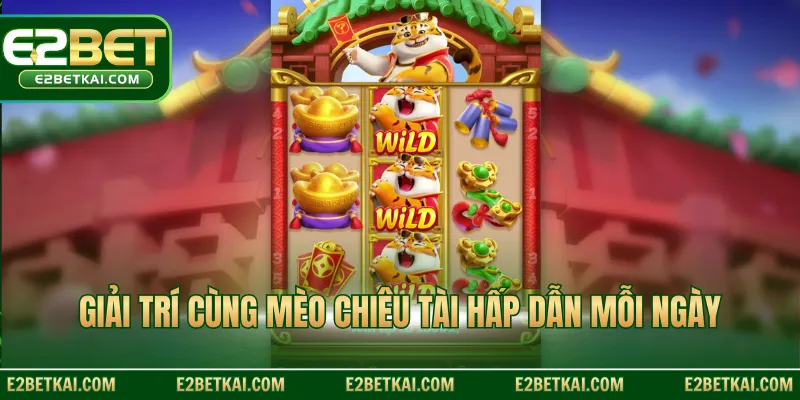 Giải trí cùng mèo chiêu tài hấp dẫn mỗi ngày