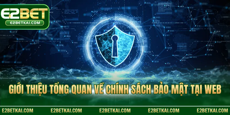 Giới thiệu tổng quan về chính sách bảo mật tại web