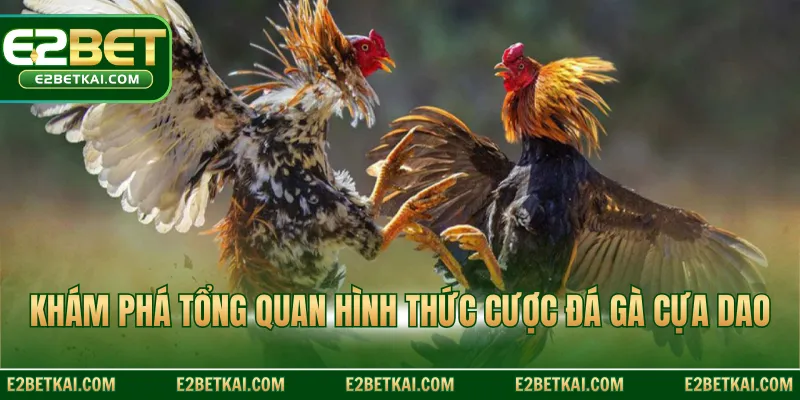 Khám phá tổng quan hình thức cược đá gà cựa dao